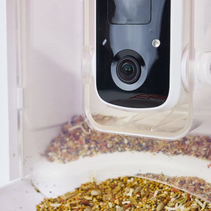 Smart Bird Feeder with HD Camera - PF154