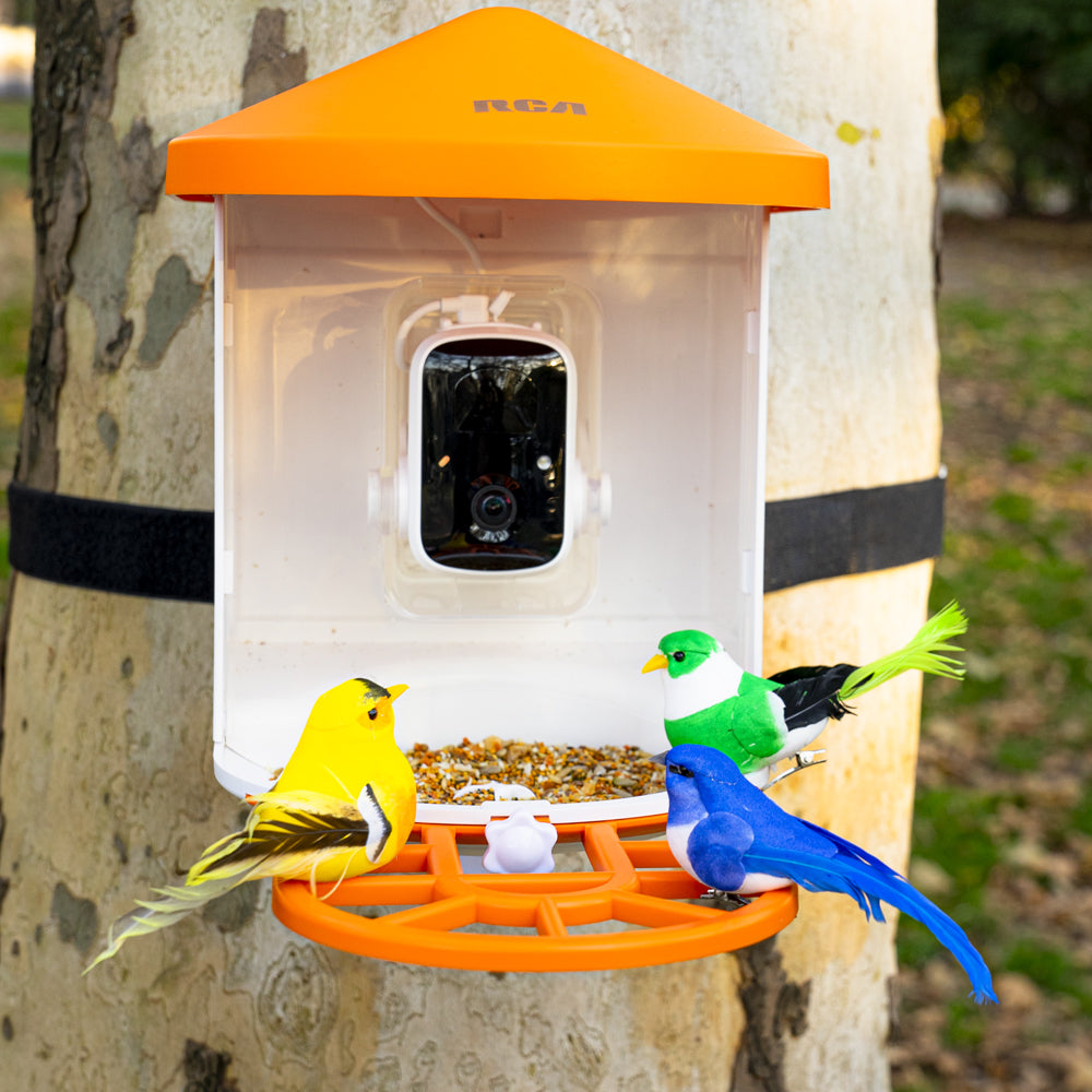 Smart Bird Feeder with HD Camera - PF154
