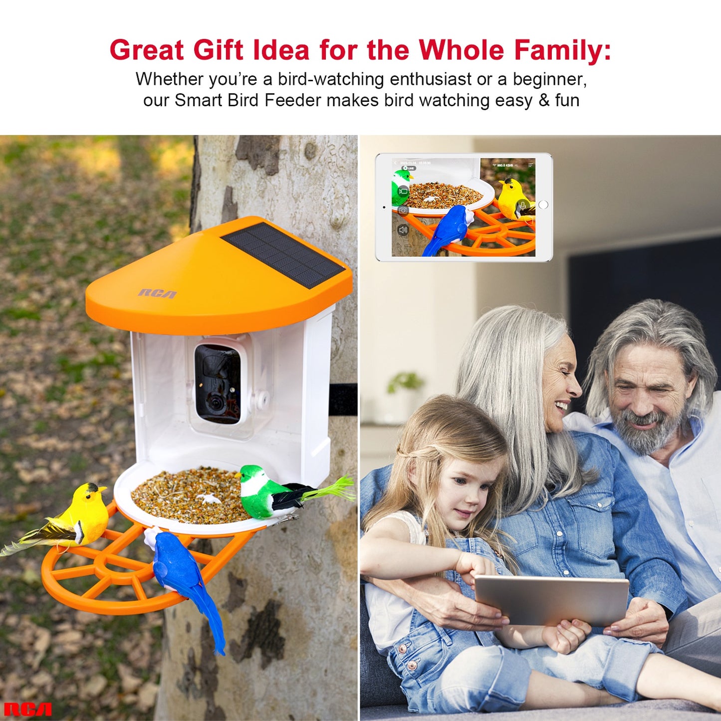 Smart Bird Feeder with HD Camera - PF154