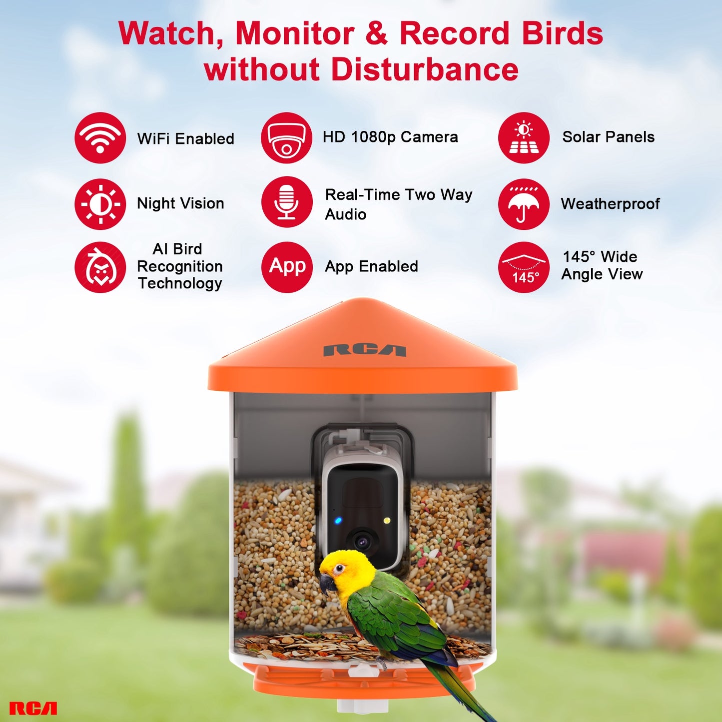 Smart Bird Feeder with HD Camera - PF154