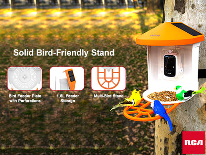 Smart Bird Feeder with HD Camera - PF154