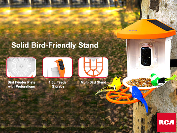 Smart Bird Feeder with HD Camera - PF154