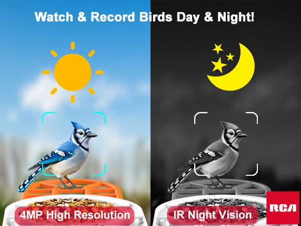 Smart Bird Feeder with HD Camera - PF154